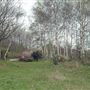 Railway Fields Nature Reserve