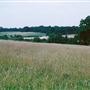 Trent Park