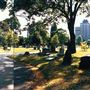 Hammersmith Cemetery