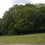 Highgate Wood