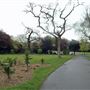 Priory Park