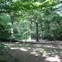 Queen's Wood