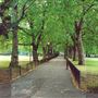Highbury Crescent