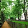 Woburn Square