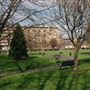 Shoreditch Park