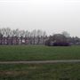 Haydons Road Recreation Ground