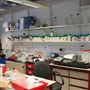 University College London - labs