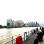 Millbank Millennium Pier
