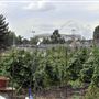 Gibbons Road Allotments
