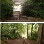 Keston Ponds