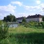 White Hart Lane Allotments