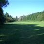 Alexandra Park