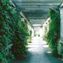 Hampstead Heath - the Hill Garden and Pergola