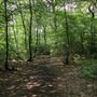 Park Wood