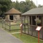 Newham City Farm