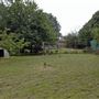 Newham City Farm