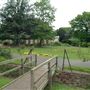 Valentines Park