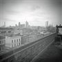 Gibson/Martelli Studio