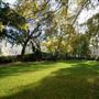 Blenheim & Elgin Communal Gardens
