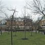St Joseph's Vale