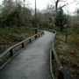 St Joseph's Vale