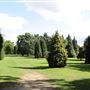 Bushy Park