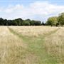 Bushy Park