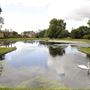 Bushy Park