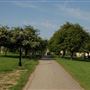 Primrose Hill