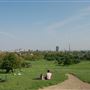 Primrose Hill