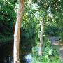 New River Path - Heritage Section