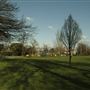 Lewisham area