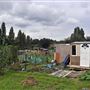 Birchen Grove Allotments