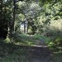Barn Hill Open Space