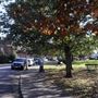 Roe Green Village Conservation Area