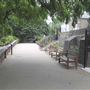 The Terrace Field