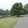 Buccleuch Gardens