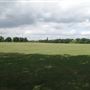 Old Deer Park