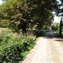 Pesthouse Common