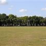 Barn Elms Playing Fields