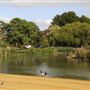 Barnes Green