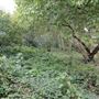 Waterworks Nature Reserve