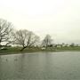 Blackheath area