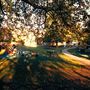 Ravenscourt Park
