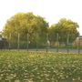 Eel Brook Common