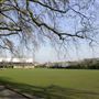 Bishop's Park