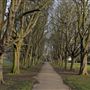 Lammas Park