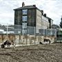 Spitalfields City Farm