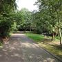 Russia Dock Woodland