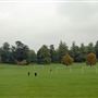 Lloyd Park